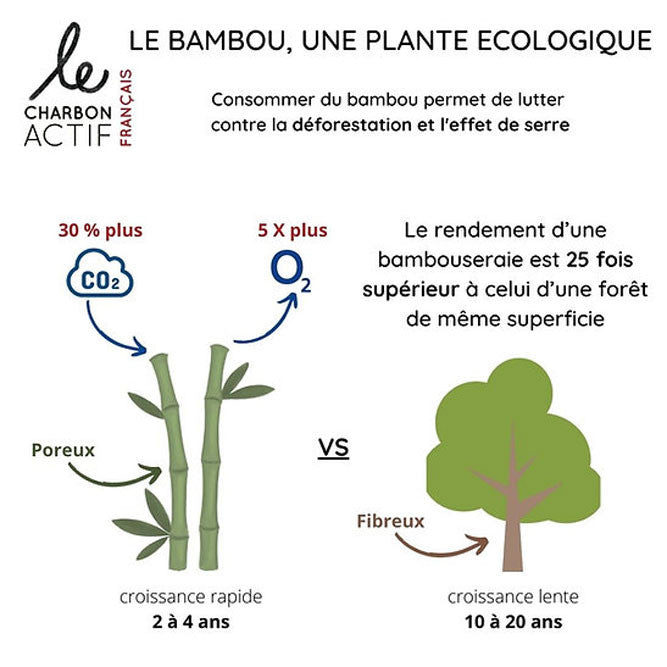 Charbon de bambou français filtre à eau naturel-4